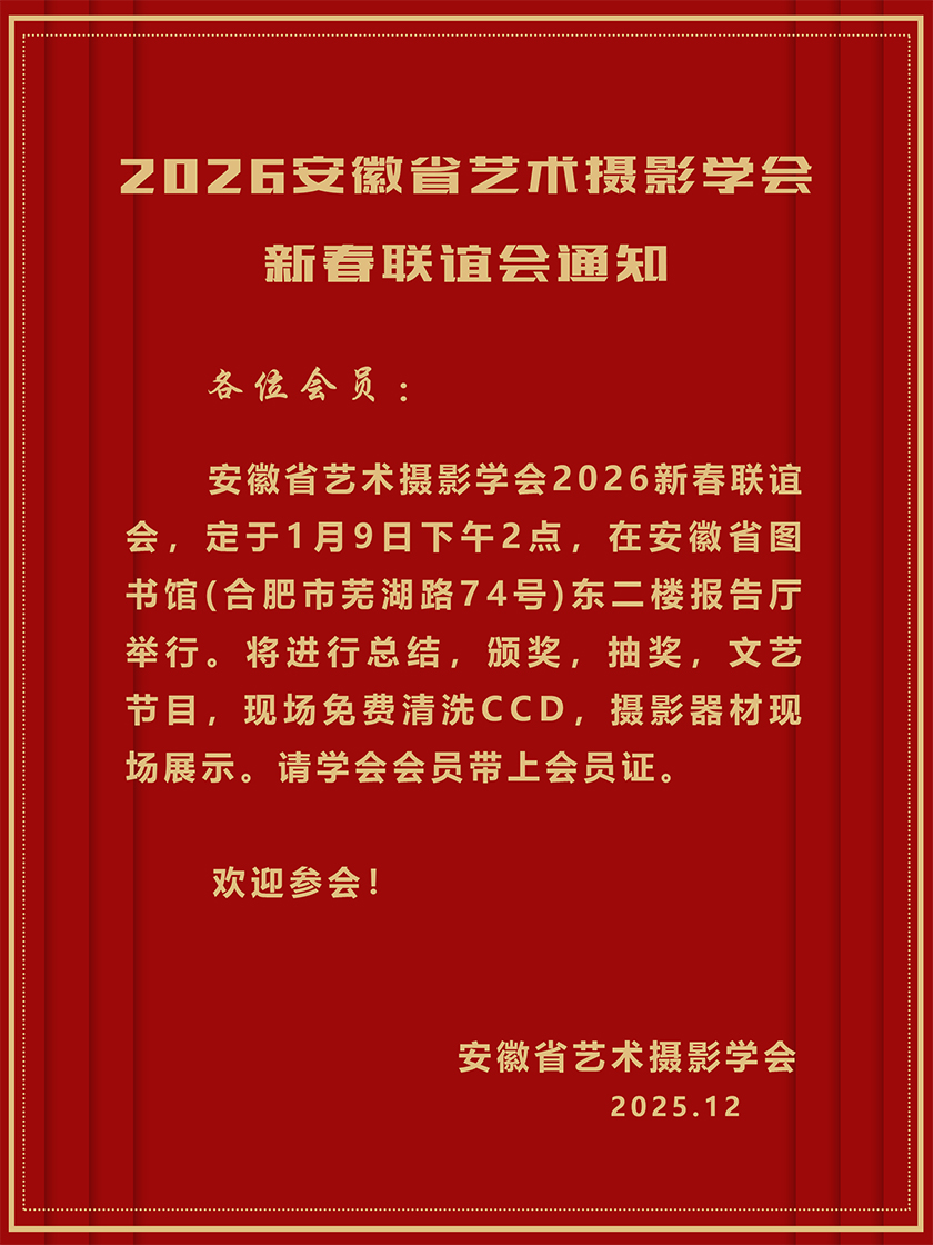 221.jpg
